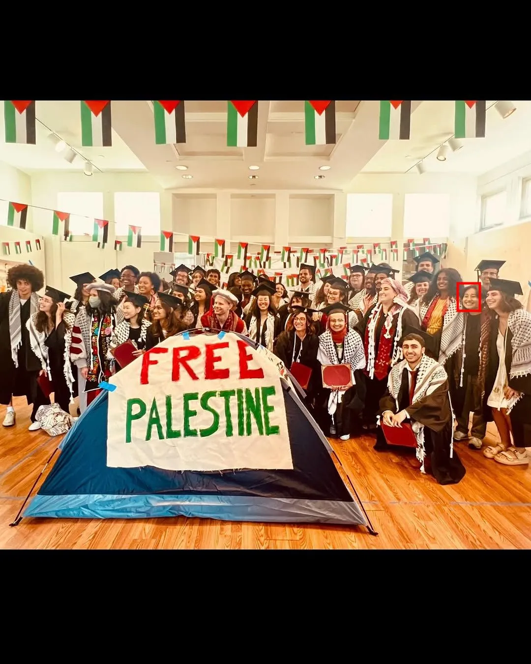 Alina grey sarmiento